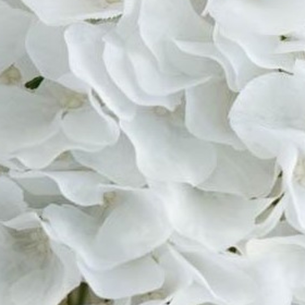 Meet your Posher, Decorone